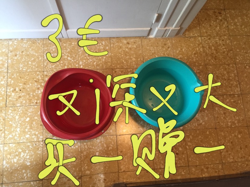 坐标里昂 毕业出清
