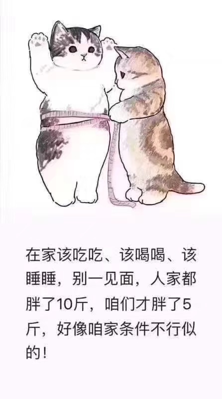 网红奶酪包