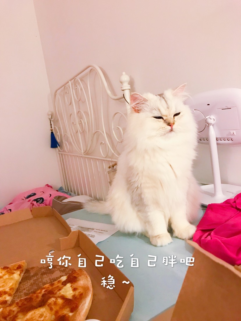 我妈让我自己来挣小鱼干