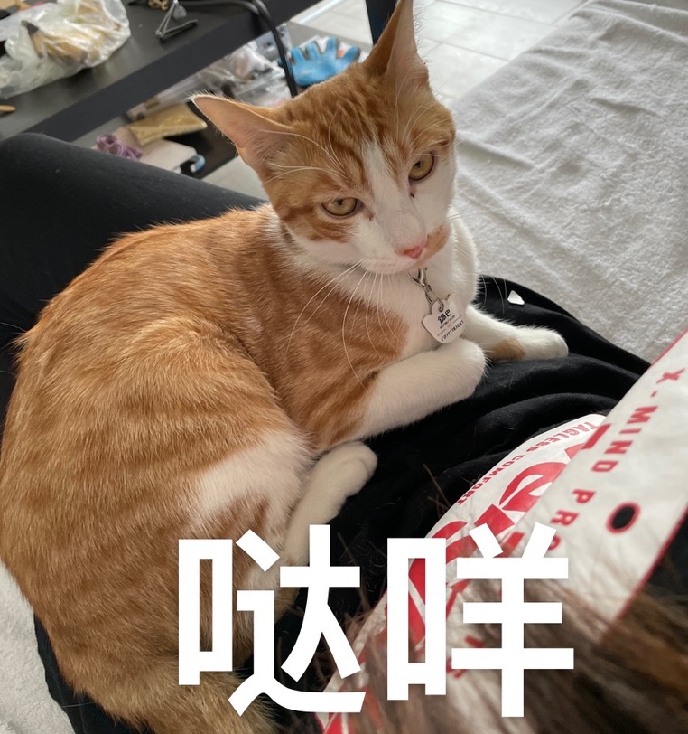 我的锅巴也凑个热闹～