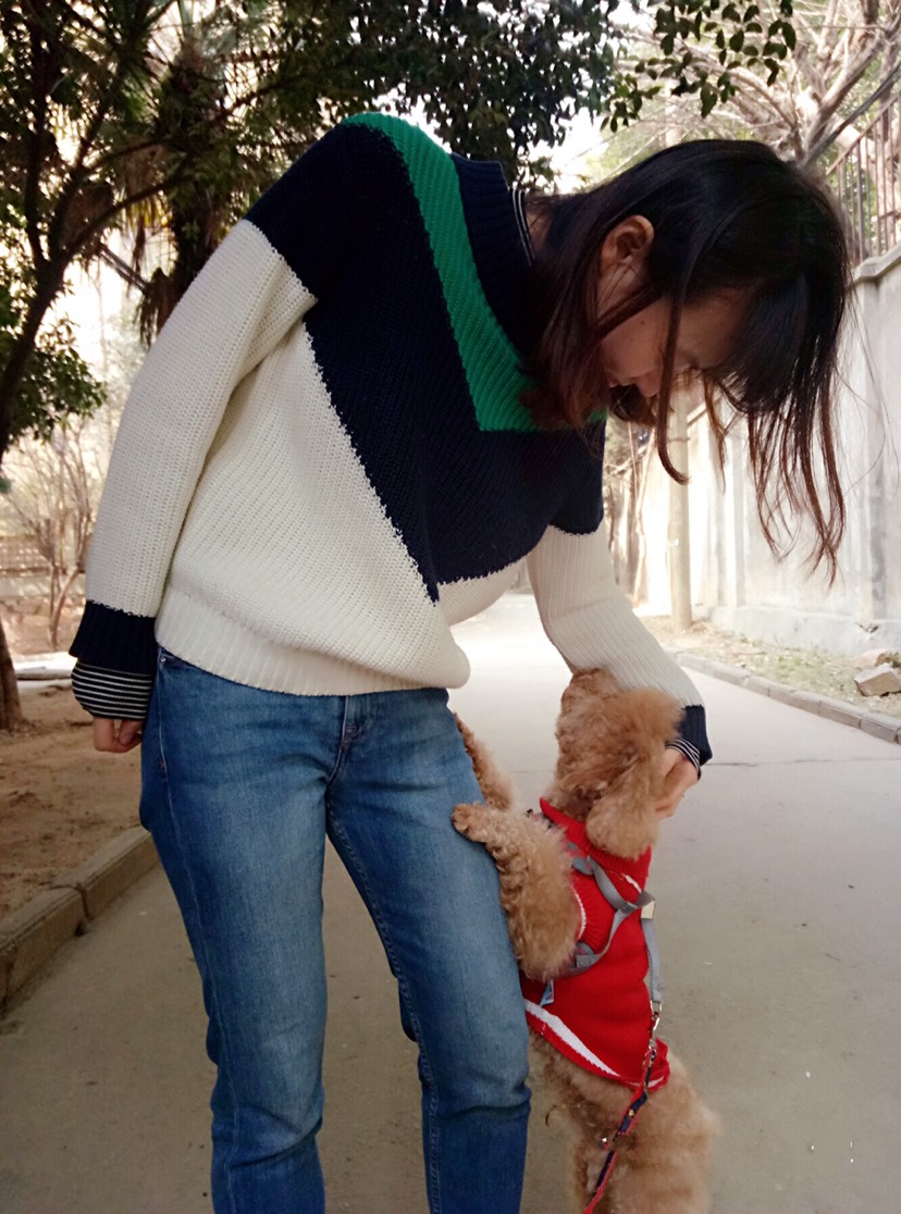 狗年旺旺旺！狗子们都成精啦啦～