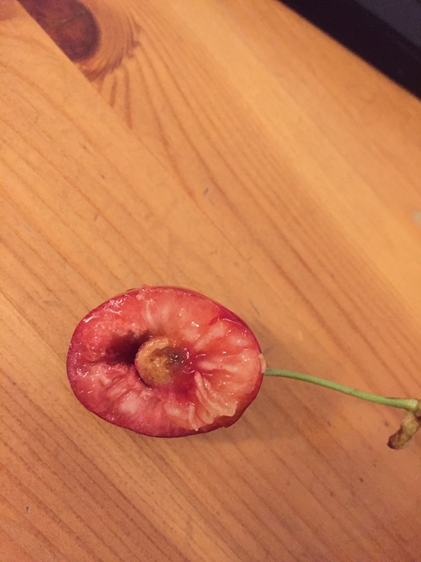 樱桃🍒里面的虫子