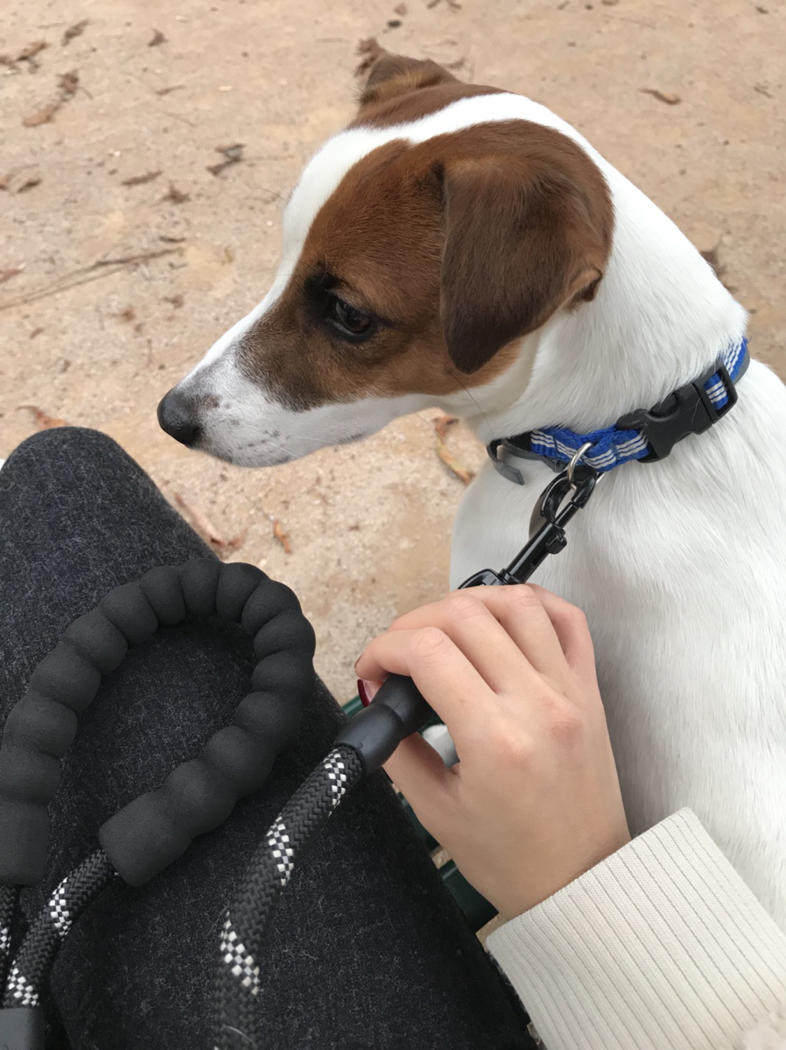 格勒不止滑雪噢