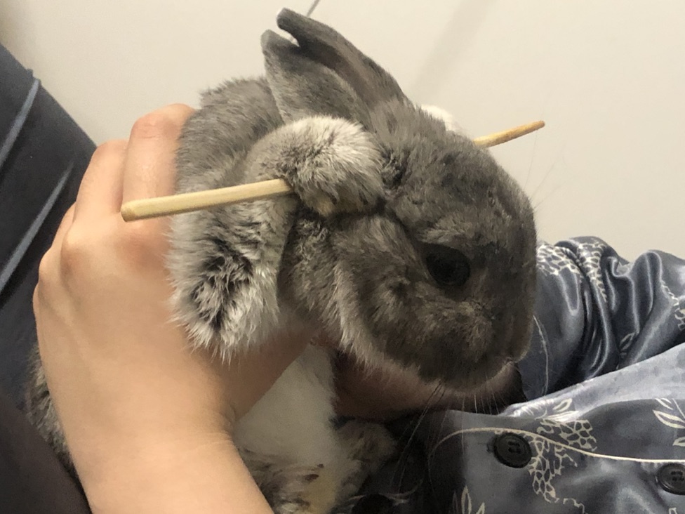 颜值比不过，那就上才艺吧