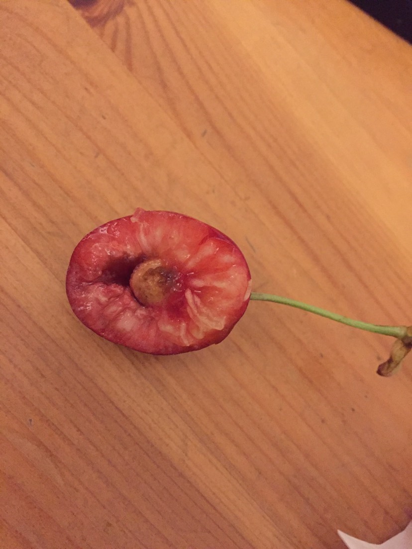 樱桃🍒里面的虫子