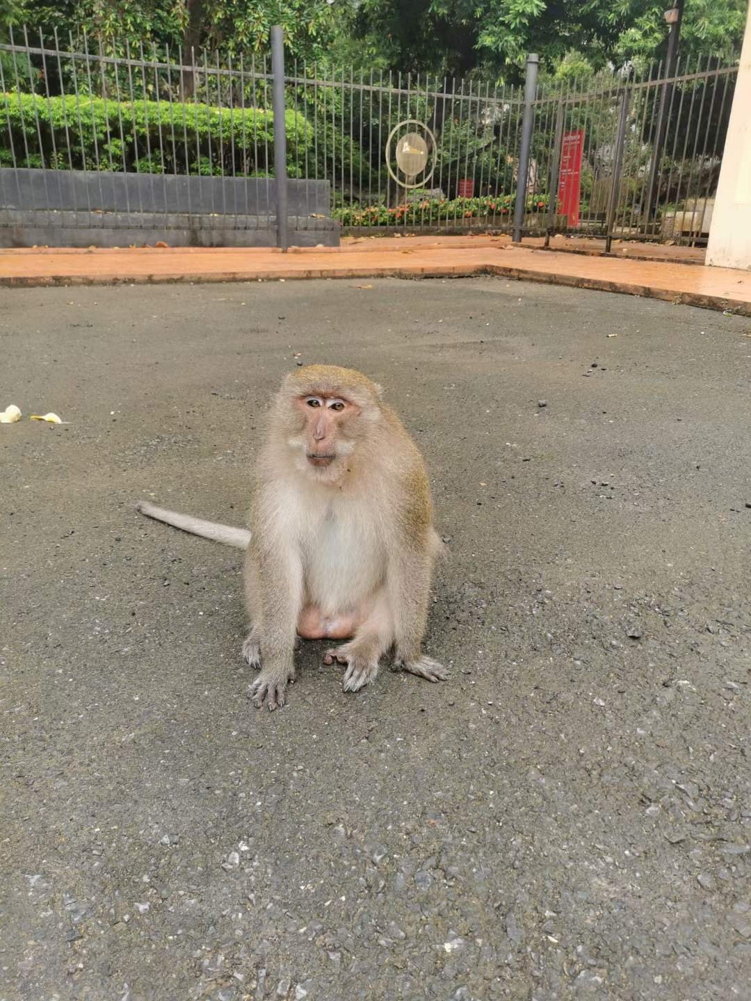 往回划拉这个夏天