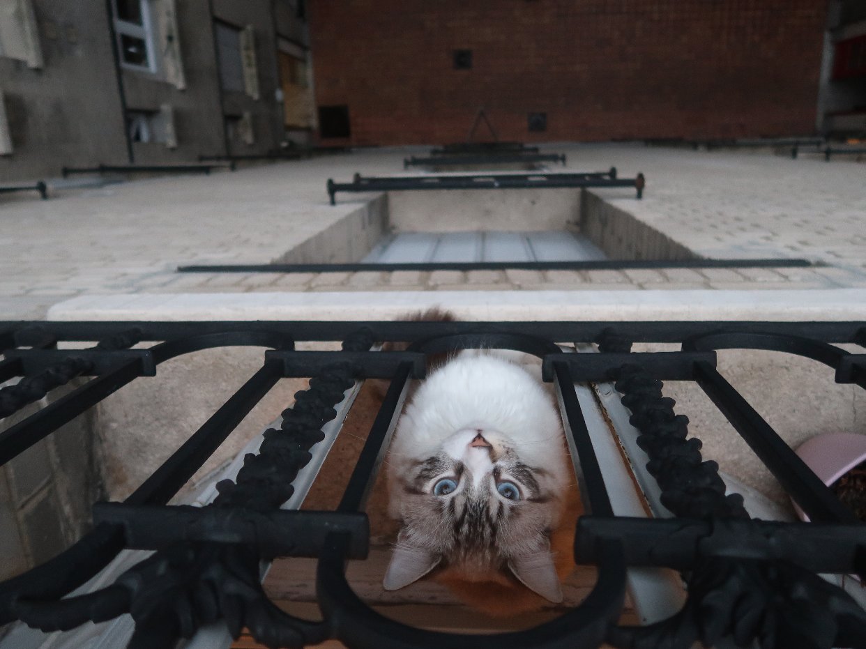 2021最爱的电子产品