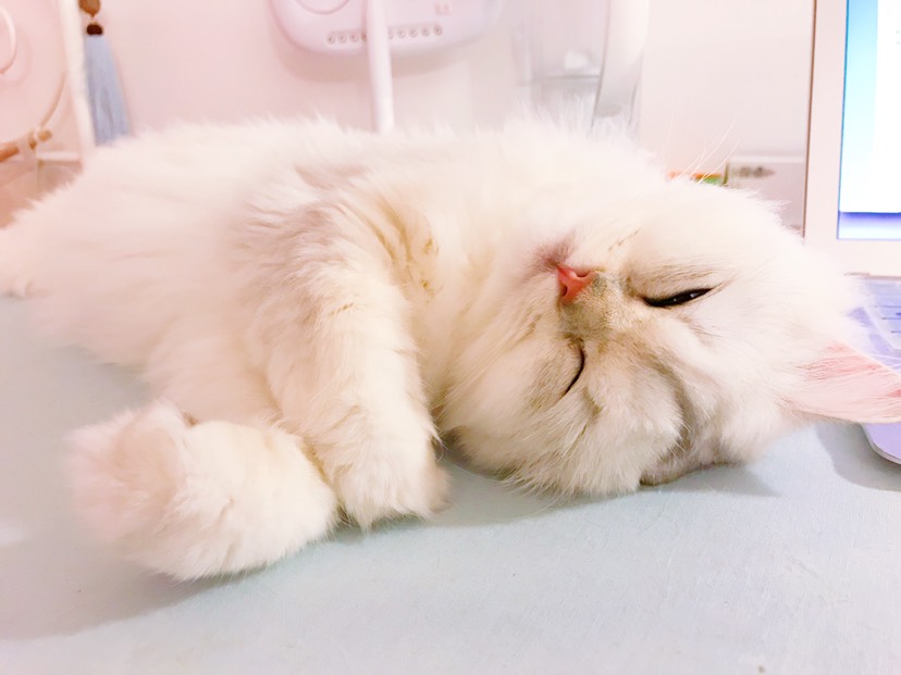 我妈让我自己来挣小鱼干