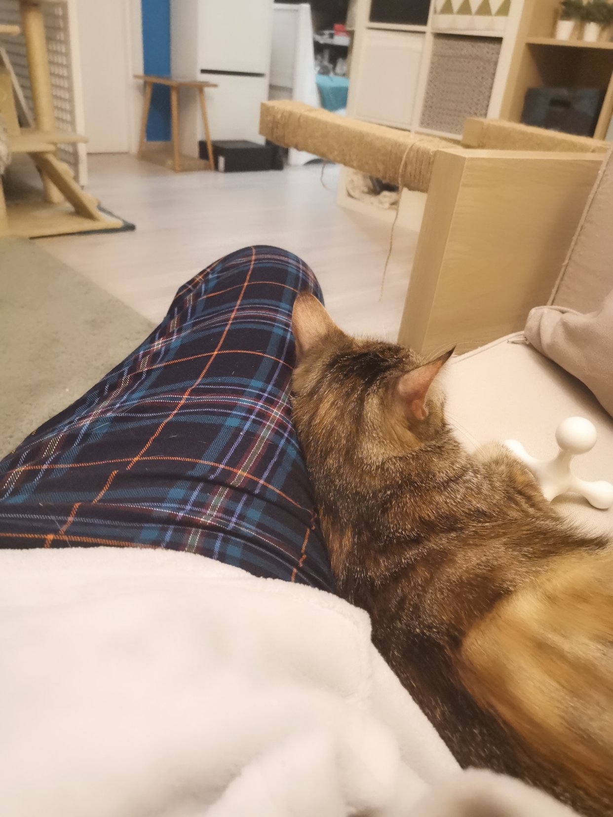 血槽已空ᥬ🙄᭄什么羊毛赠一个亿吐血打折断肠价我也不买了