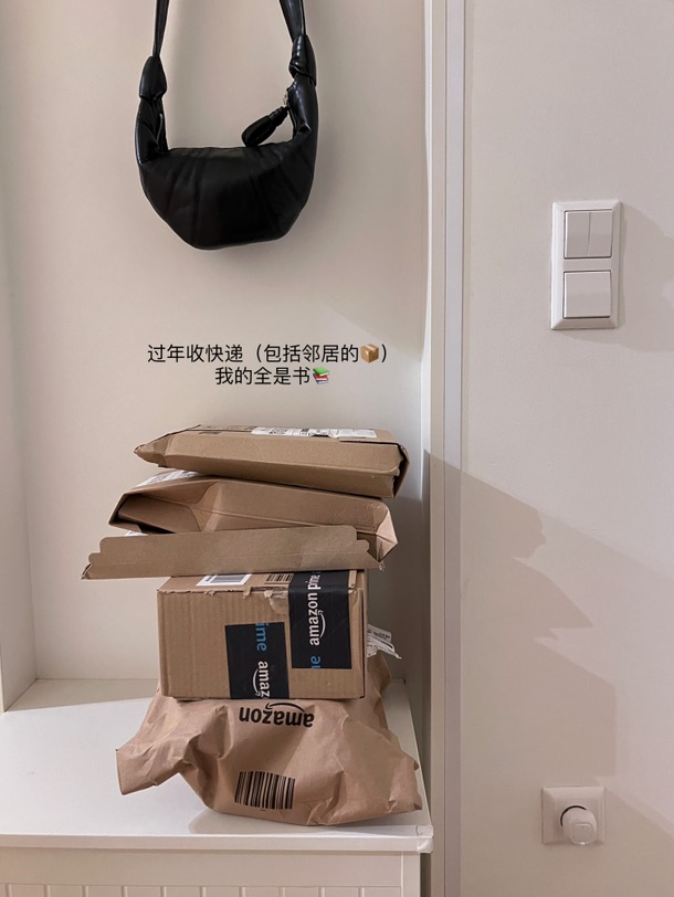 🇩🇪🧩｜在德国过年🧨只居家，不串门