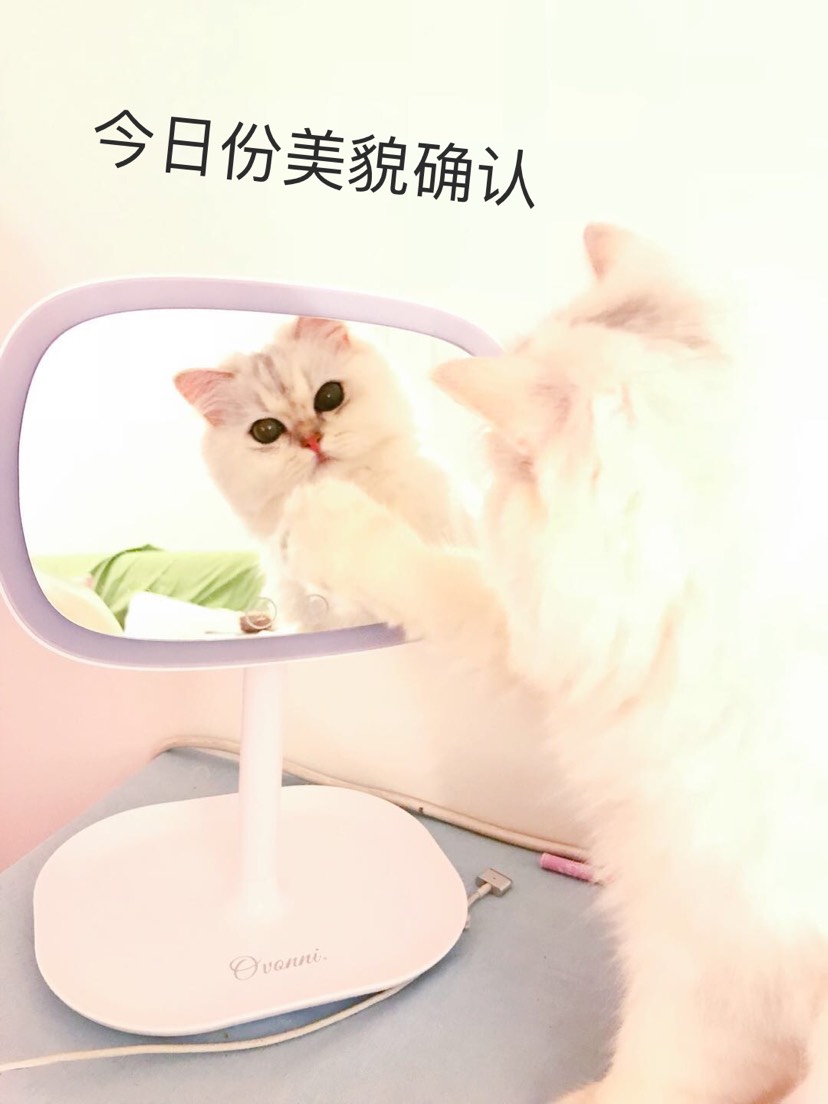 我妈让我自己来挣小鱼干