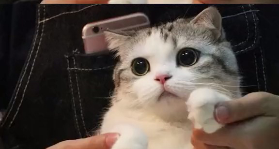https://treasureimage.ecentime.com/filename_paWBHSQwpSYy.jpg