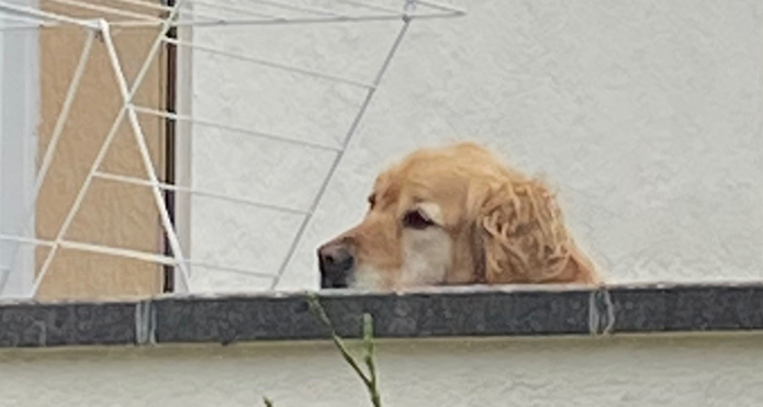 反向海淘小分享🫡